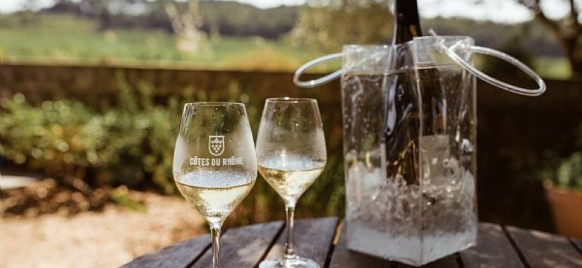 Fraicheur dans les vins blancs : étude de la bioacidification