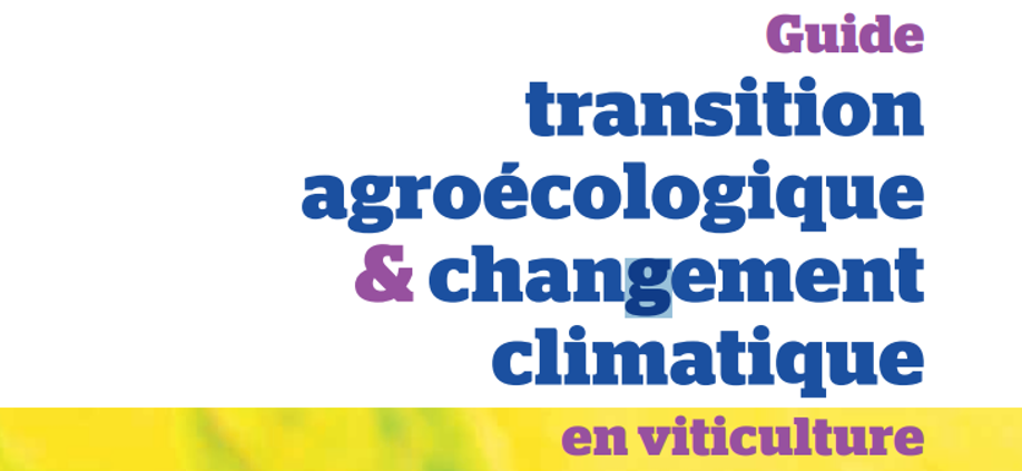 Guide 2022 Transition agroécologique et changement climatique en viticulture