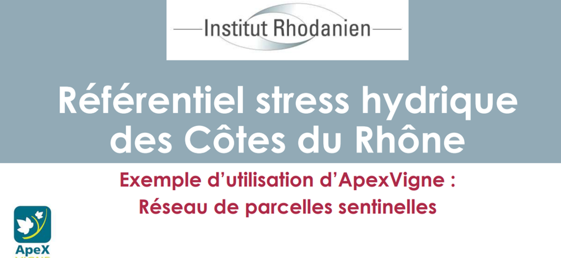 Référentiel stress hydrique des Côtes du Rhône