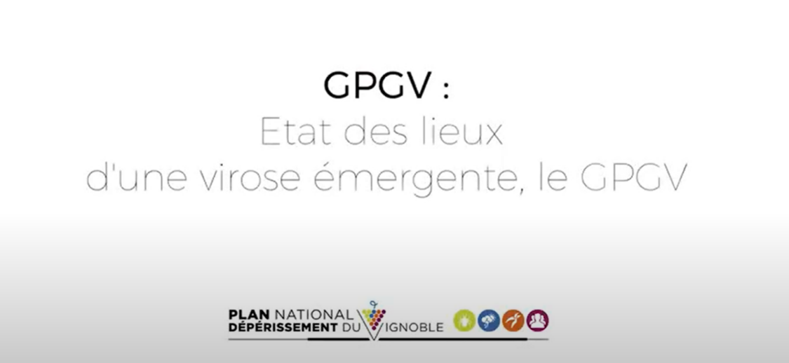 Webinaire GPGV