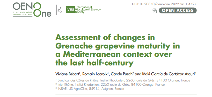Évolution de la maturité du Grenache en Côtes du Rhône méridionales depuis ces 50 dernières années