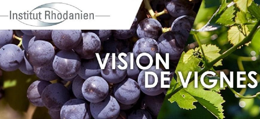 Bilan Vision de Vignes N9 au 30/11/2020